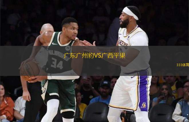 廣東廣州豹VS廣西平果