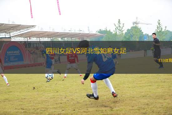 四川女足VS河北雪如意女足