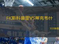 FK斯科普里VS蒂克韋什