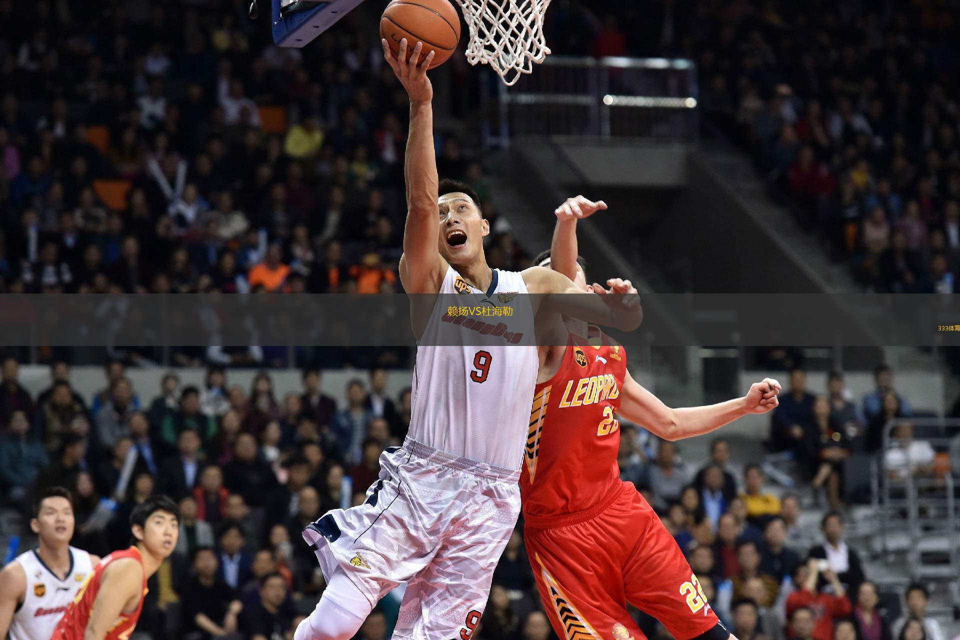 賴揚VS杜海勒