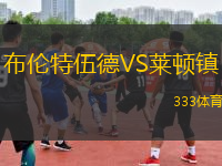 布倫特伍德VS萊頓鎮(zhèn)
