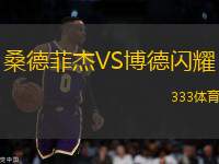 桑德菲杰VS博德閃耀
