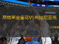 昂格萊金雀花VS布拉尼亞克