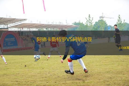 阿德卡斯特羅VS阿納迪亞
