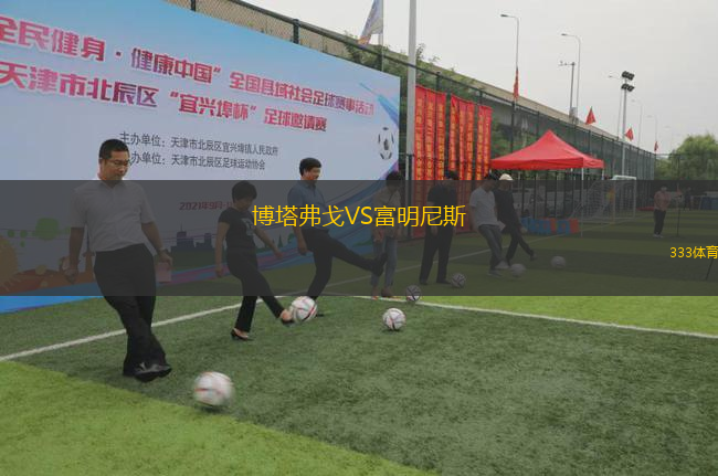 博塔弗戈VS富明尼斯