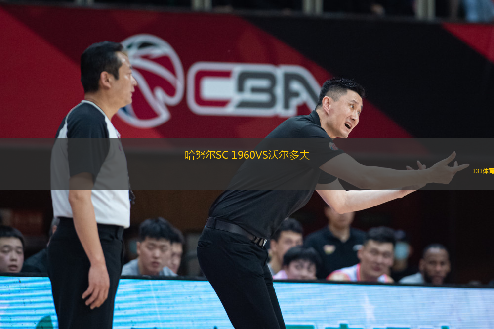 哈努爾SC 1960VS沃爾多夫