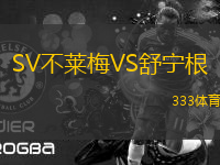 SV不萊梅VS舒寧根