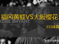 福岡黃蜂VS大阪櫻花
