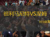 祖利馬尼特VS涅姆