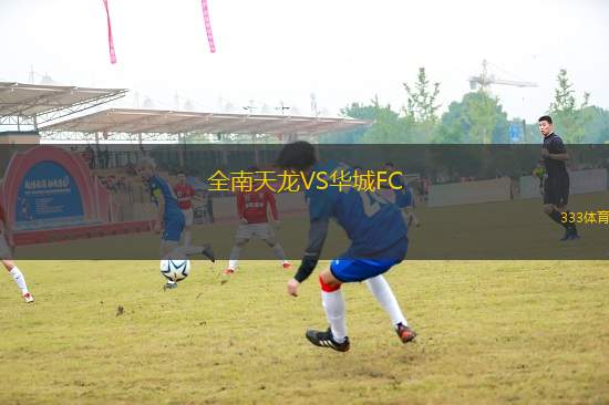全南天龍VS華城FC