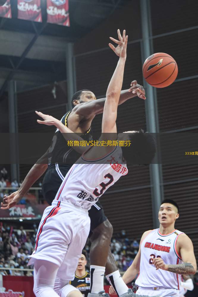 格魯瑙VS比史弗斯霍芬