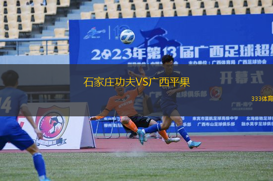 石家莊功夫VS廣西平果