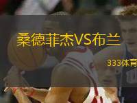 桑德菲杰VS布蘭