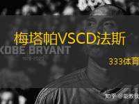 梅塔帕VSCD法斯