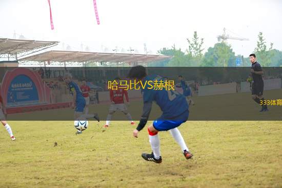 哈馬比VS赫根