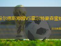 希爾德斯海姆VS霍爾特豪森蜜蜂