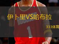 伊卜里VS哈布拉