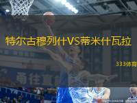 特爾古穆列什VS蒂米什瓦拉