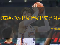 諾瓦維斯VS特斯拉斯特羅普科夫