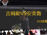 吉姆勒VS安美魯