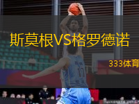 斯莫根VS格羅德諾