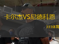 卡爾杰VS尼德科恩