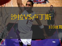 沙拉VS盧丁斯