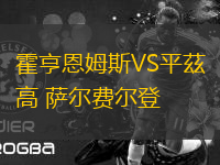 霍亨恩姆斯VS平茲高 薩爾費(fèi)爾登