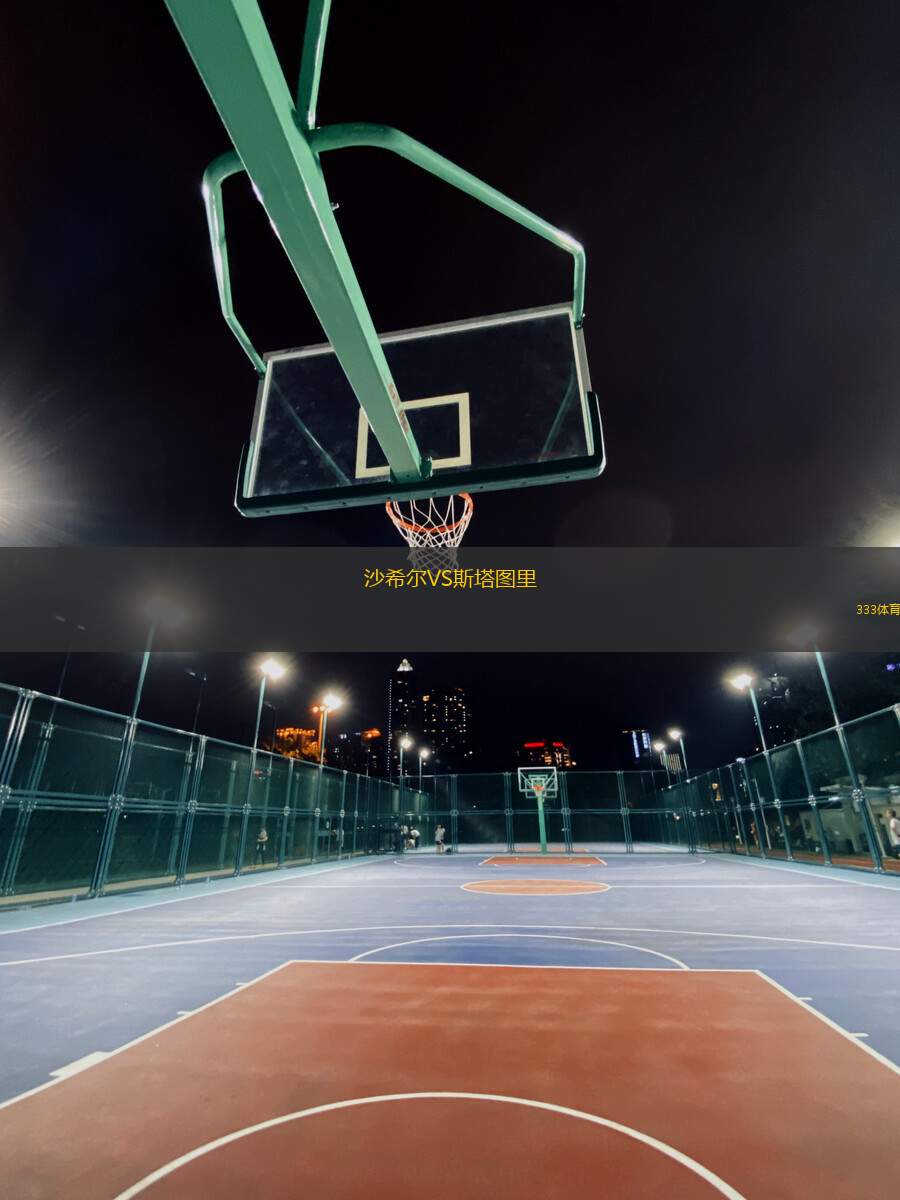 沙希爾VS斯塔圖里