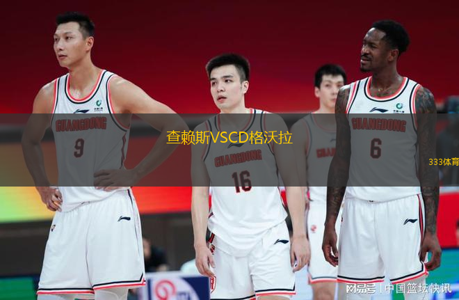 查賴(lài)斯VSCD格沃拉