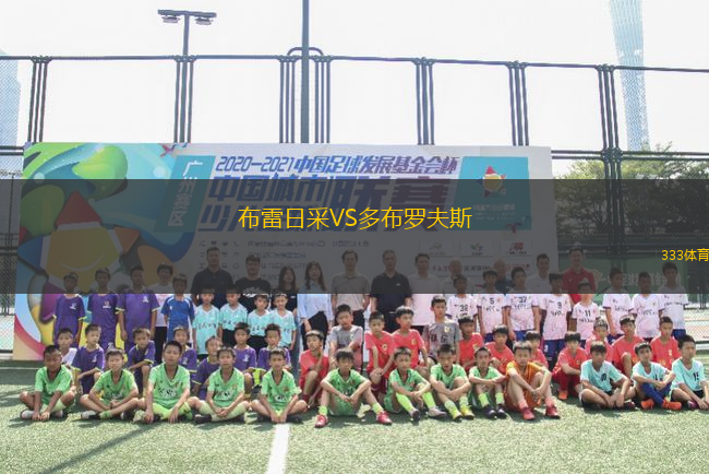 布雷日采VS多布羅夫斯