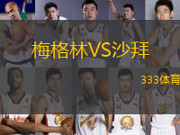 梅格林VS沙拜