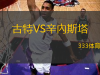 古特VS辛內(nèi)斯塔