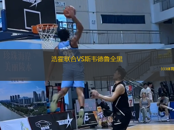 浩霍聯(lián)合VS斯韋德魯全黑