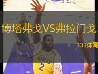 博塔弗戈VS弗拉門戈