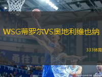 WSG蒂羅爾VS奧地利維也納