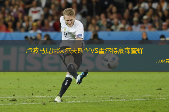 盧波馬提尼沃爾夫斯堡VS霍爾特豪森蜜蜂