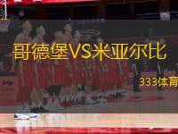 哥德堡VS米亞爾比