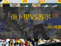 伊卜里VS蘇爾