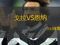 戈拉VS恩納