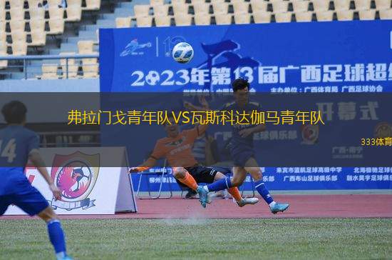 弗拉門戈青年隊(duì)VS瓦斯科達(dá)伽馬青年隊(duì)