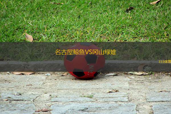 名古屋鯨魚VS岡山綠雉