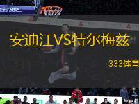 安迪江VS特爾梅茲