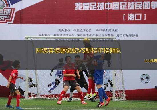 阿德萊德眼鏡蛇VS斯特爾特獅隊(duì)