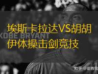 埃斯卡拉達(dá)VS胡胡伊體操擊劍競(jìng)技