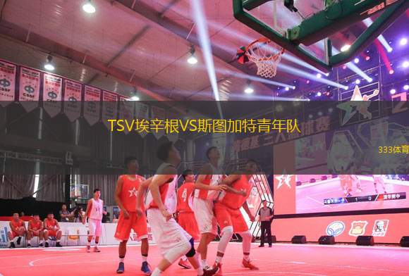 TSV埃辛根VS斯圖加特青年隊