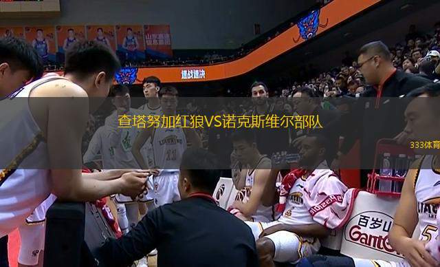 查塔努加紅狼VS諾克斯維爾部隊(duì)