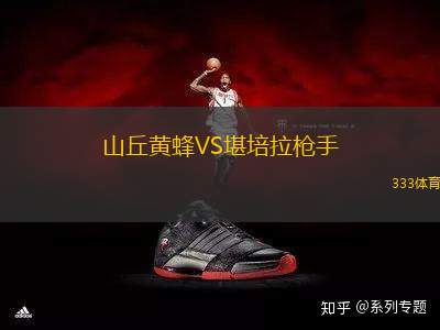 山丘黃蜂VS堪培拉槍手