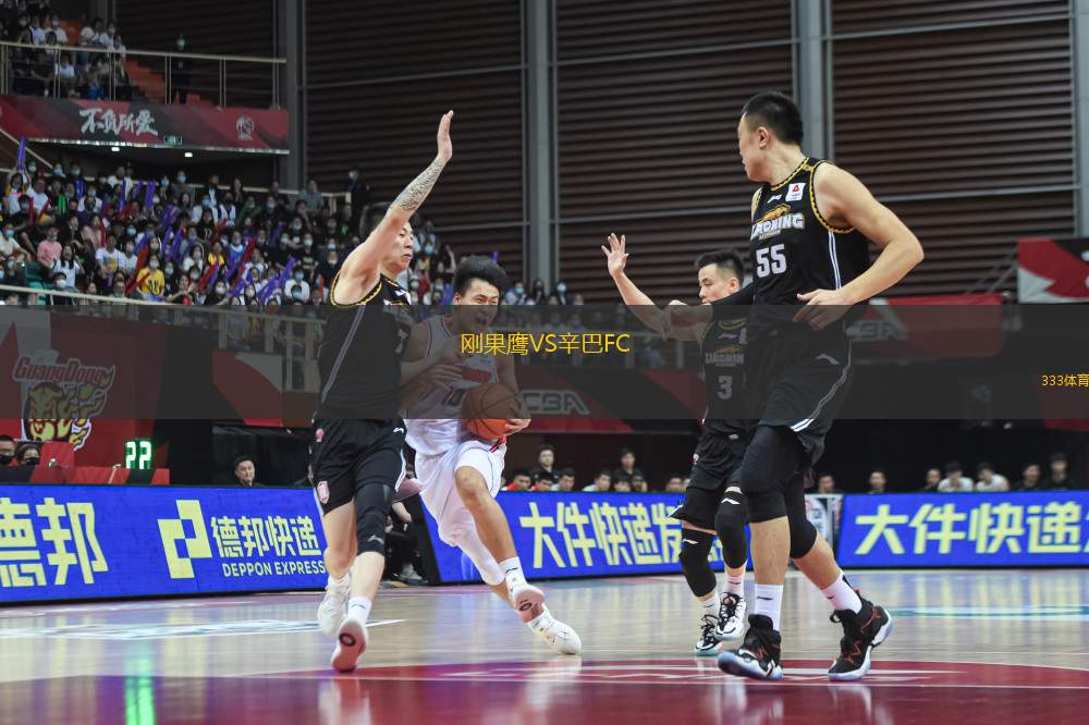剛果鷹VS辛巴FC