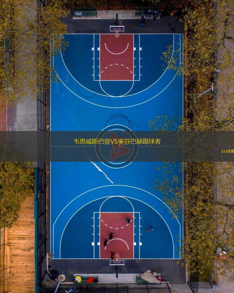 韋恩威斯巴登VS奧芬巴赫踢球者